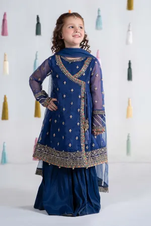 3 Piece Embroidered Organza Suit | MKS-EA24-15